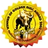 Golden Bull Award
